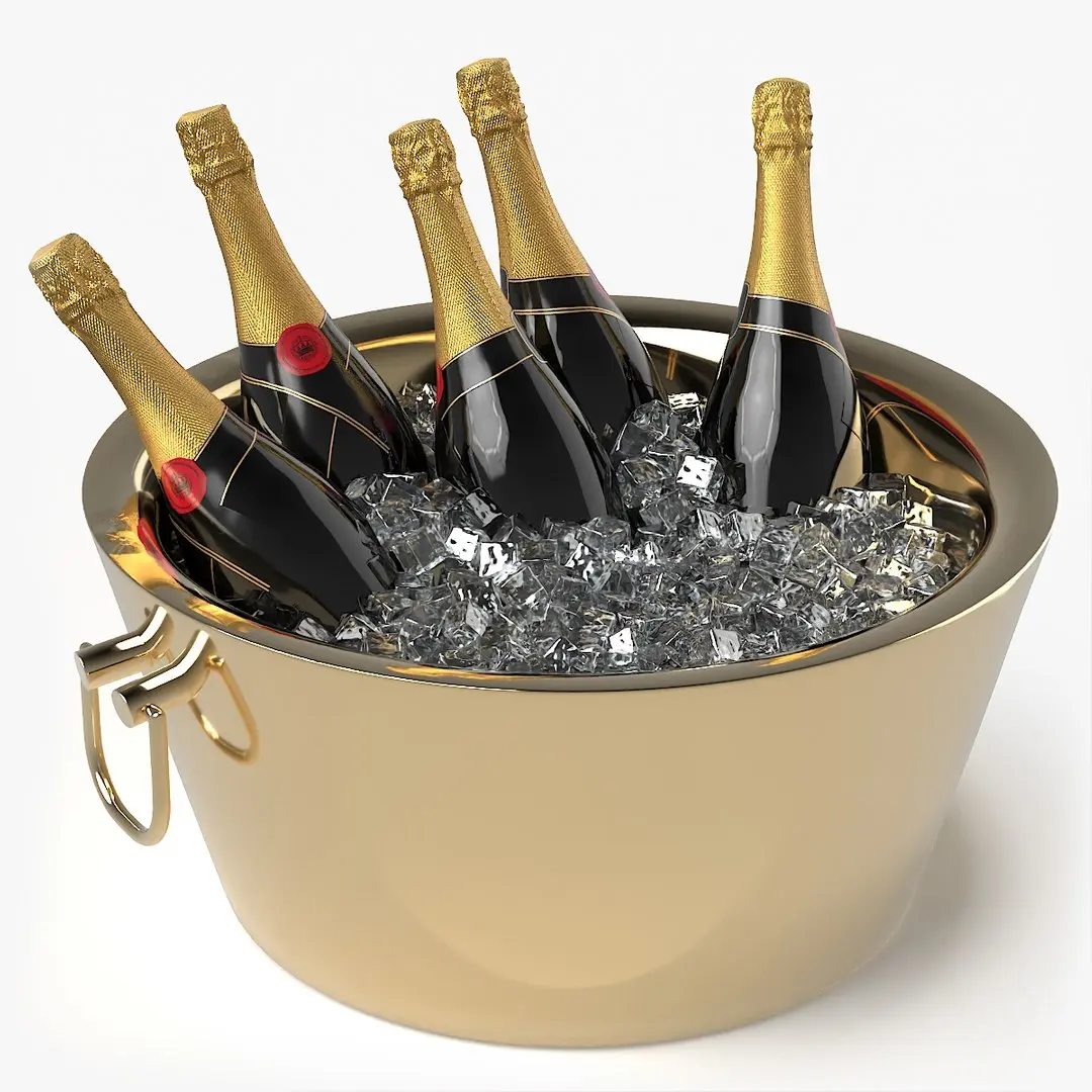 Champagne Bottles in Bronze Ice Bucket 3D model