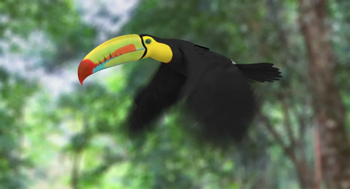 Keel-billed Toucan (Animated) 3D model