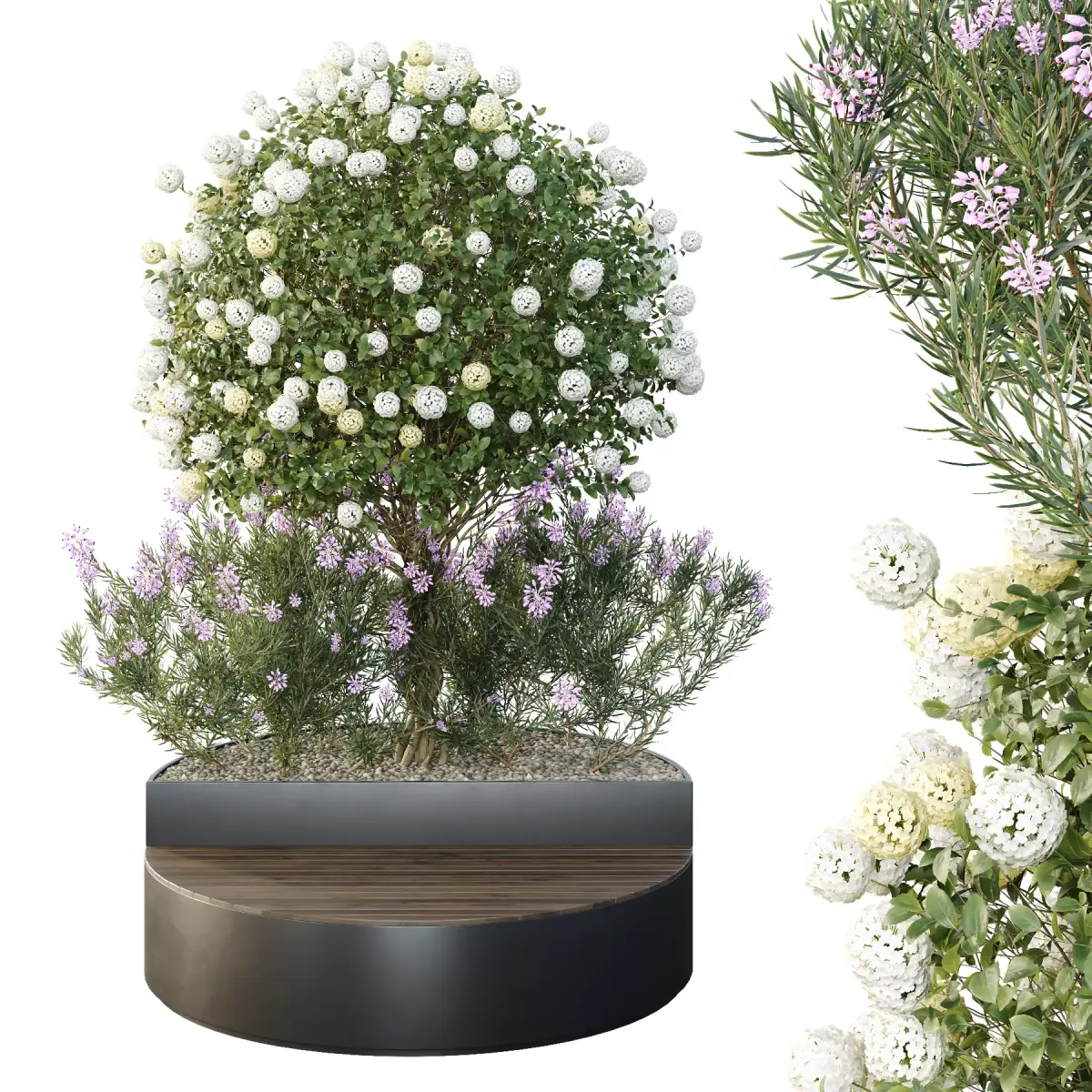 Tree and bush garden box outdoor VOL 20 Free 3D model