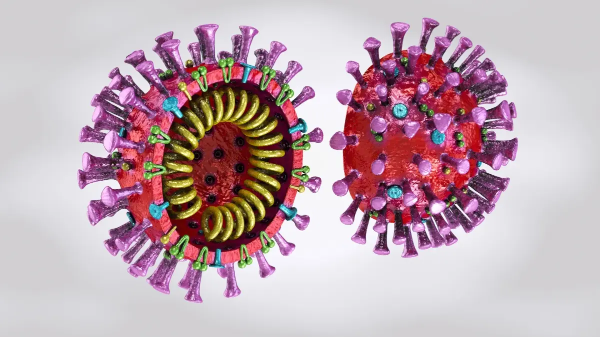 Corona virus 2019 3D model