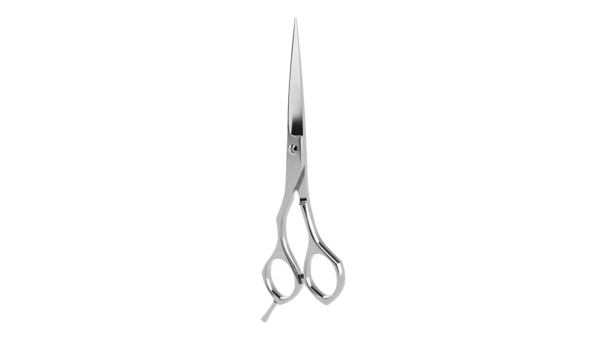 Scissors(1) 3D model
