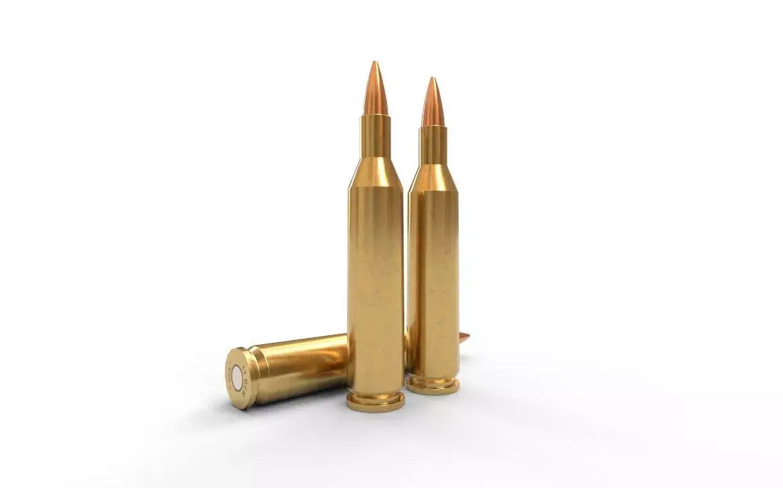 17 Remington Ammo Low-poly 3D model