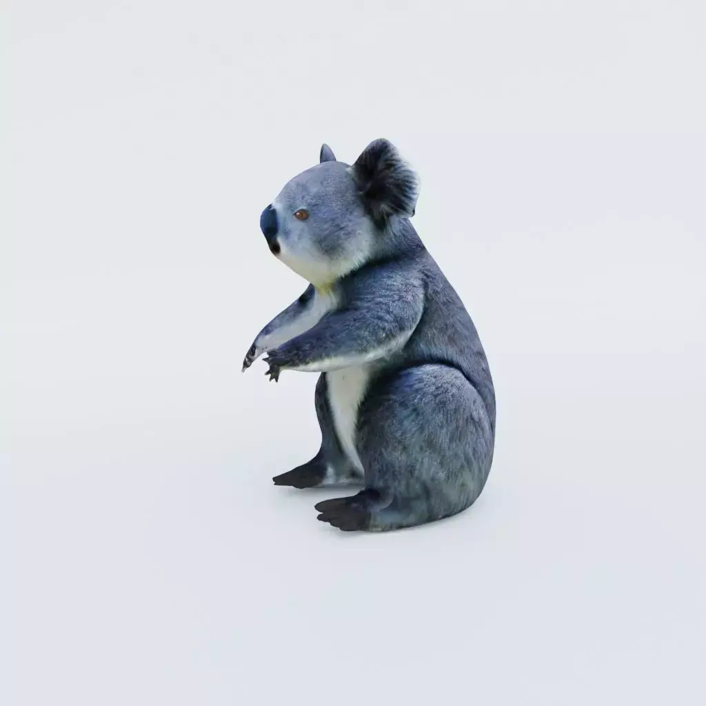 Koala Free 3D model purchase