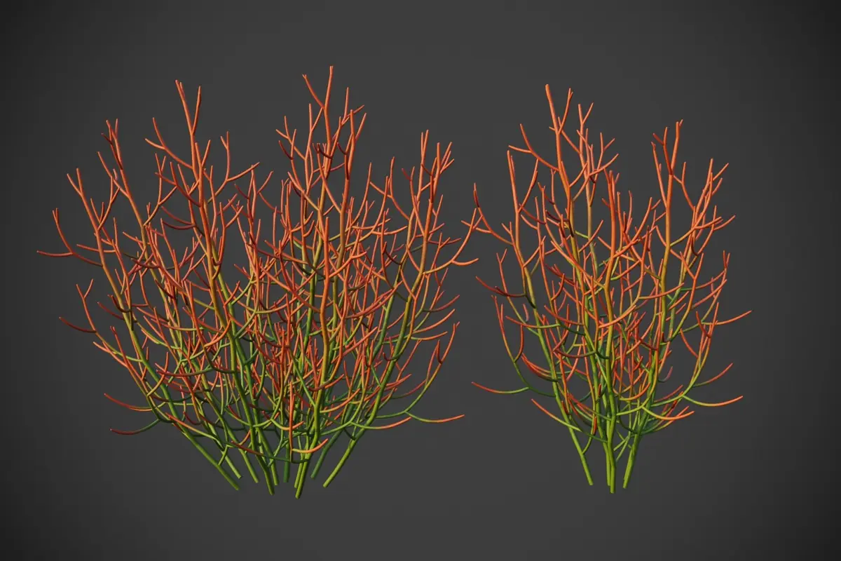 XfrogPlants Sticks on Fire - Euphoriba Tirucalli 3D model