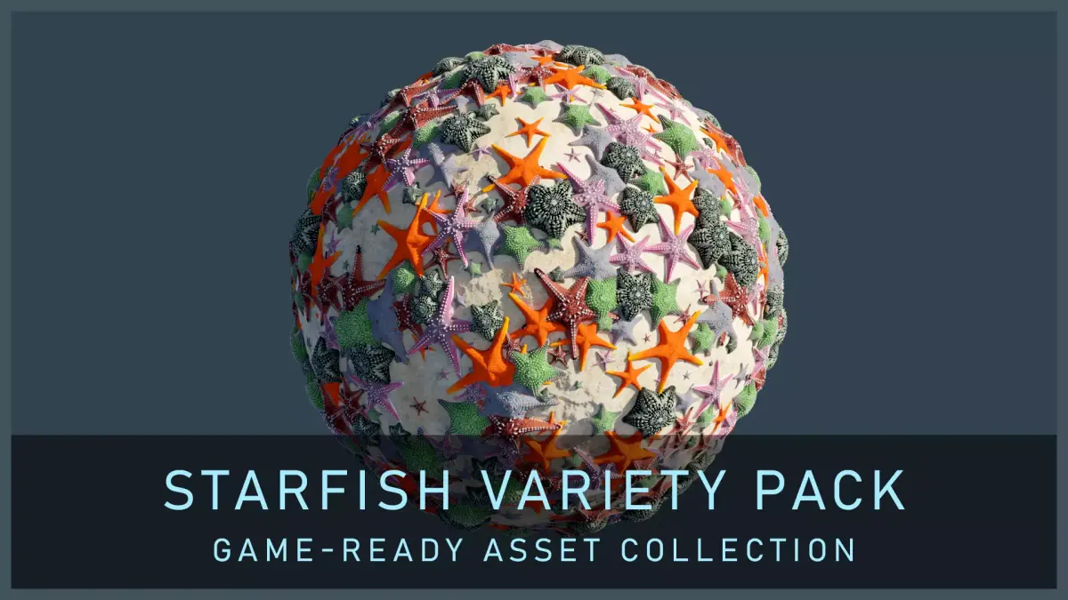 Starfish Variety Pack 3 Low-poly 3D model purchase