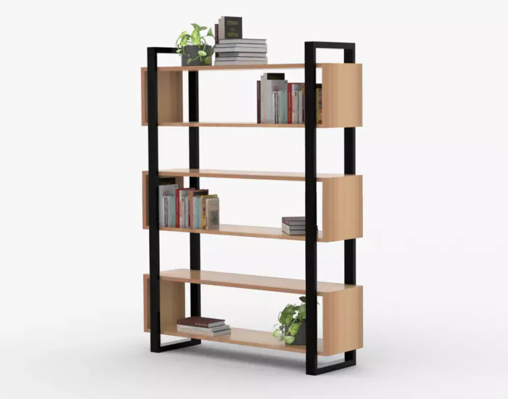 Book shelf Free 3D model buy
