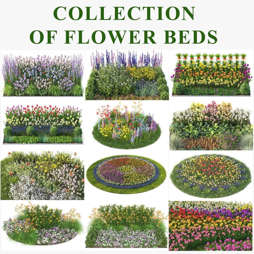 Flower beds 3D model