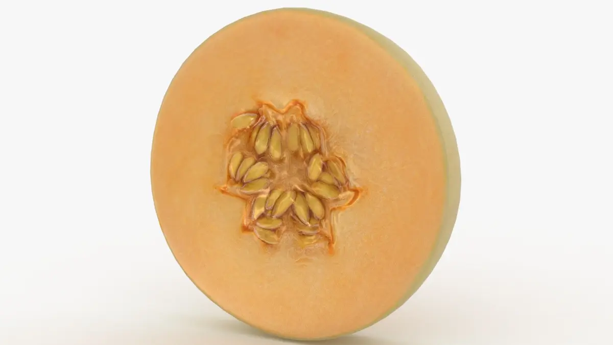 Round Slice Orange Honeydew Melon 3D model