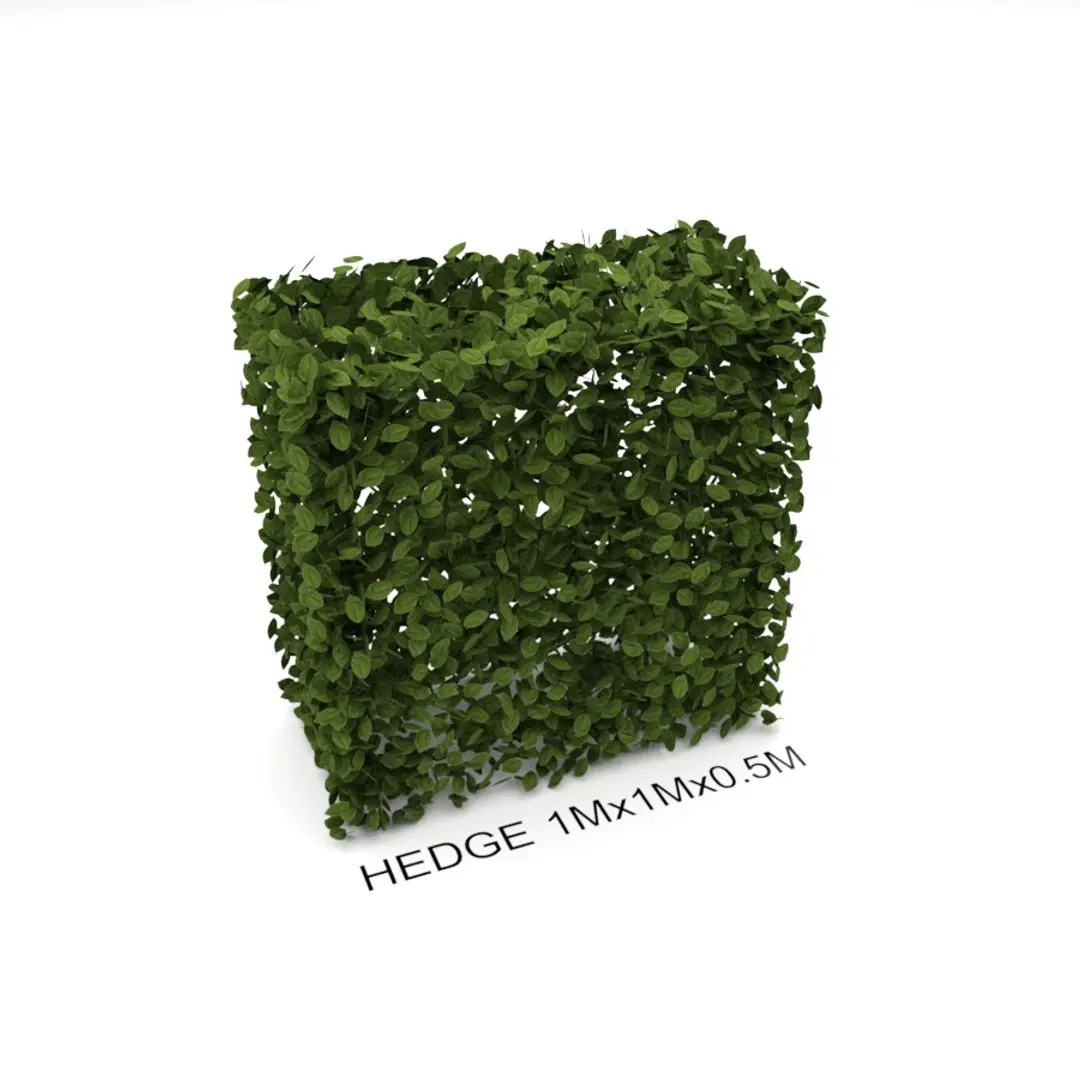Hedge 1m x 1m 3D model