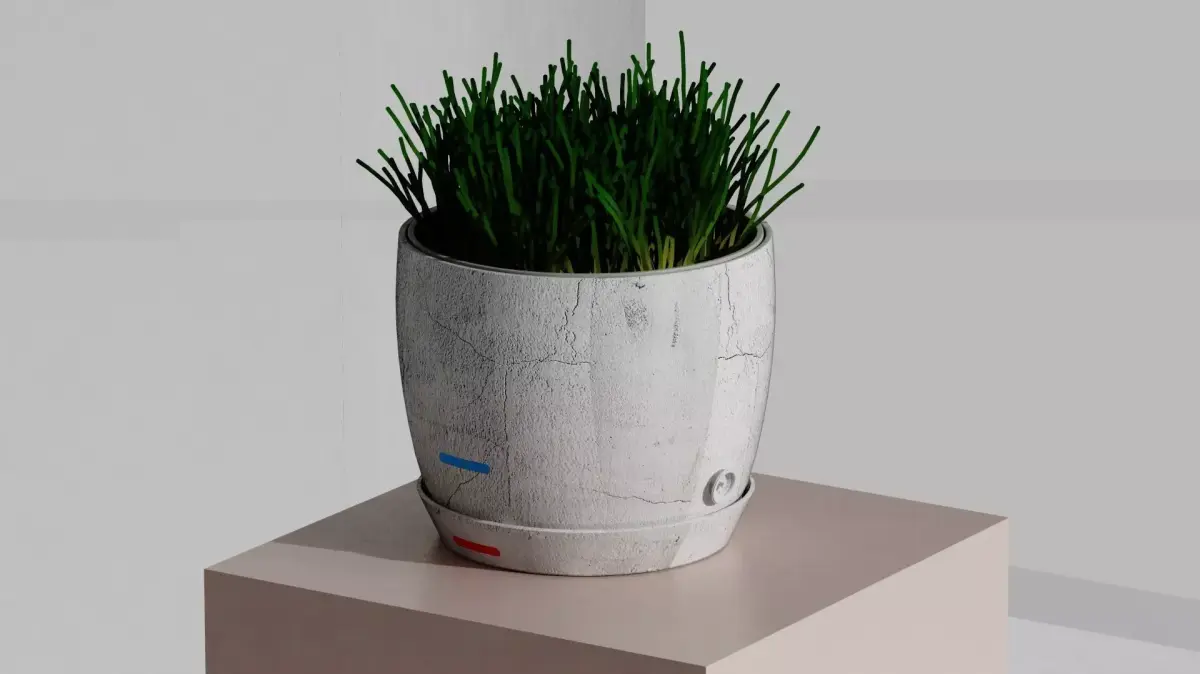 Flowerpot with valve Free 3D model
