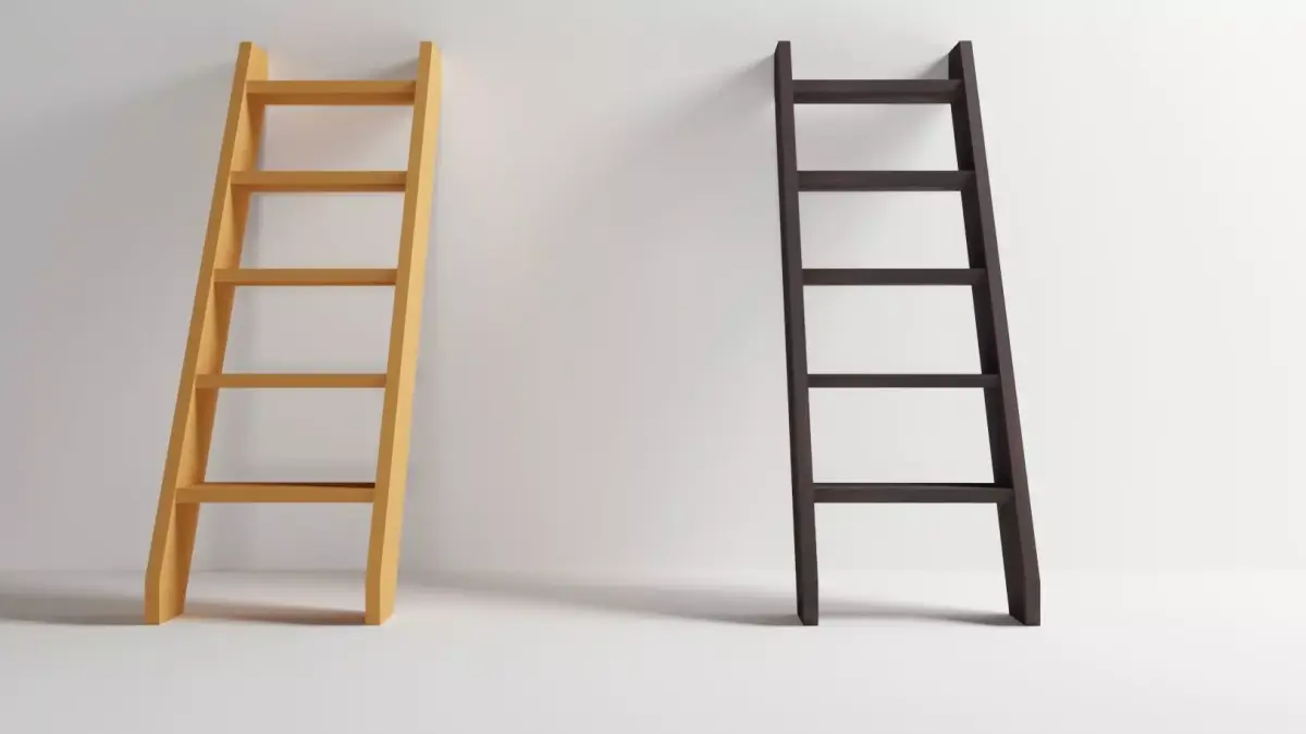 Wooden Ladder Set  2 Color Variants 3ds Max FBX OBJ Free Free 3D model