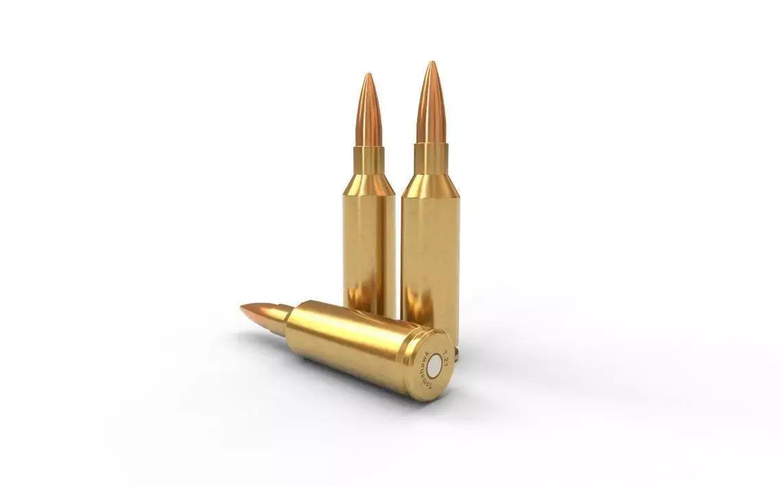 721-Tomahawk Ammo Low-poly 3D model