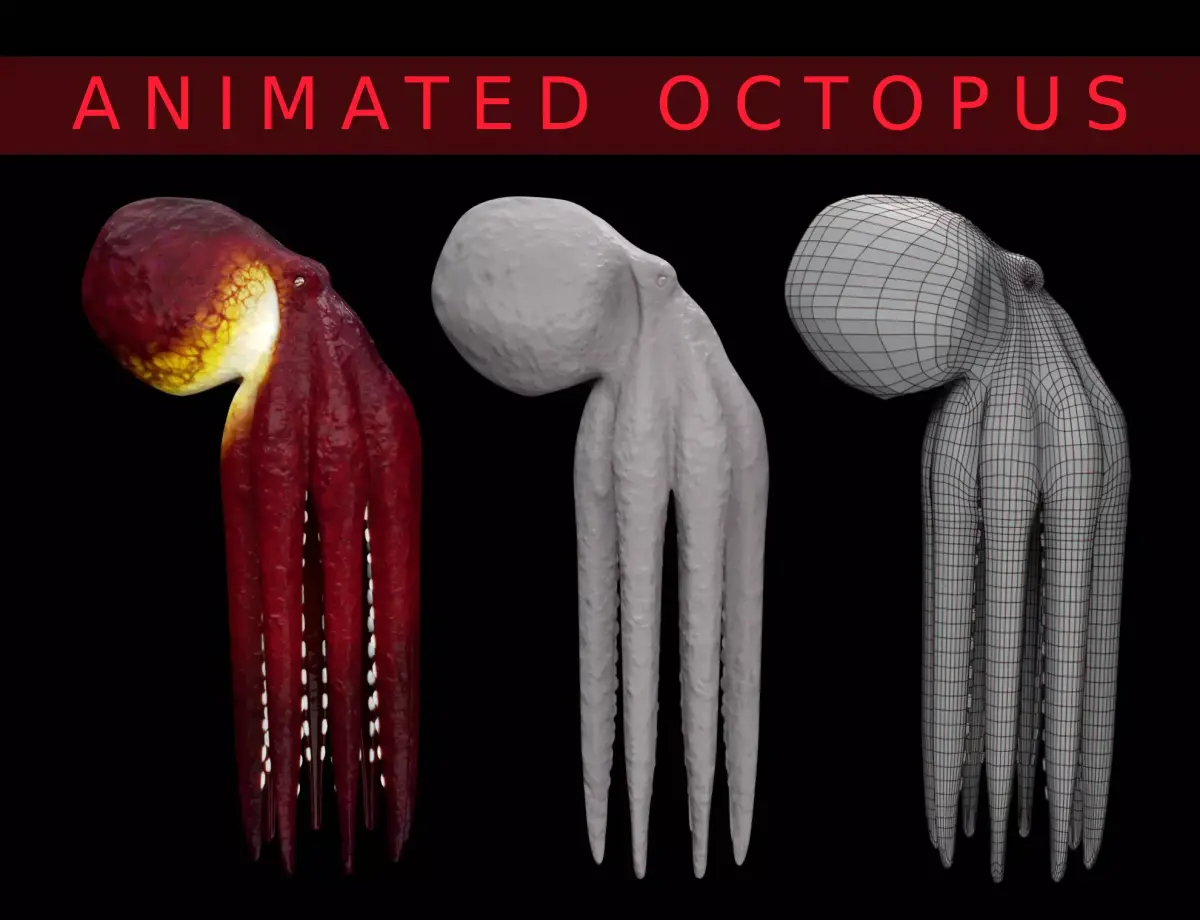 Animated Octopus 3D model buy