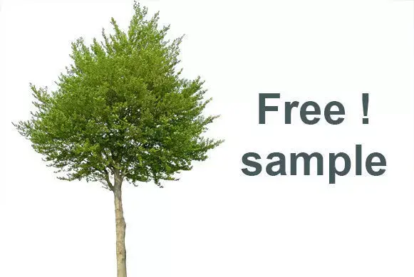 Free sample from my 83 Cutout Trees Collection Texture