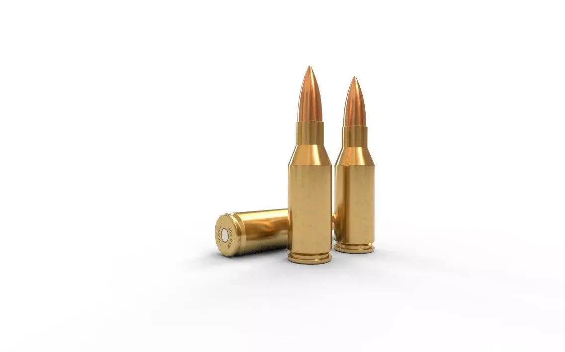 300 Olympic SSM Ammo Low-poly 3D model