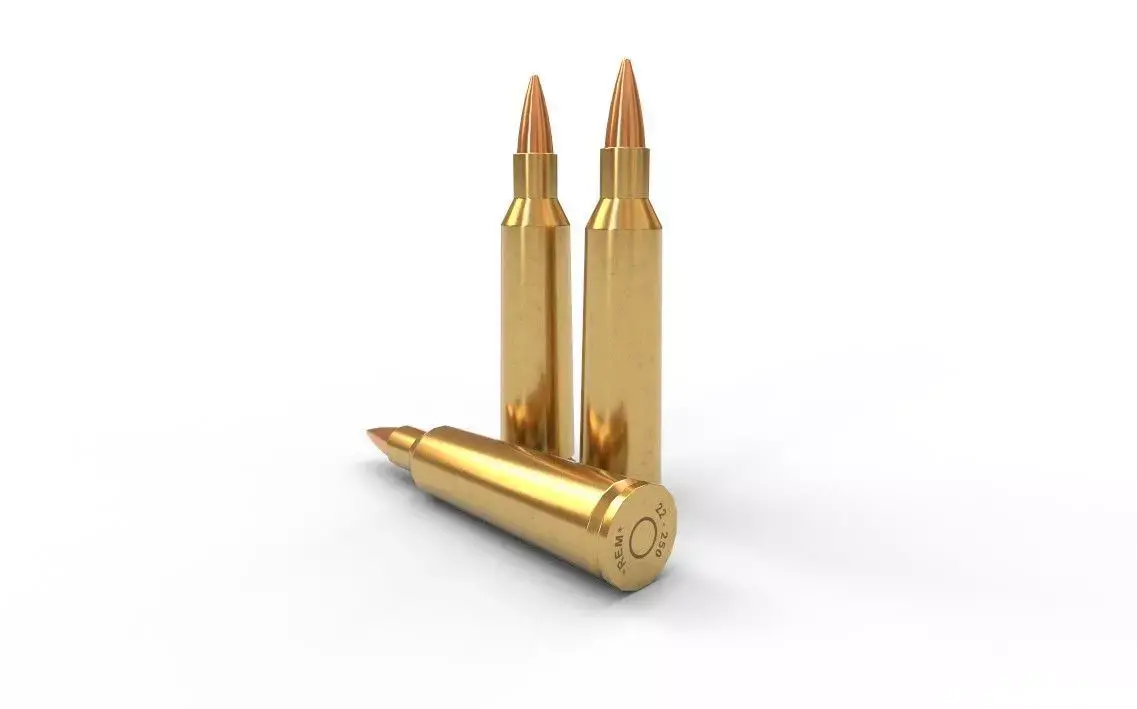 22-250-Remington Ammo Low-poly 3D model