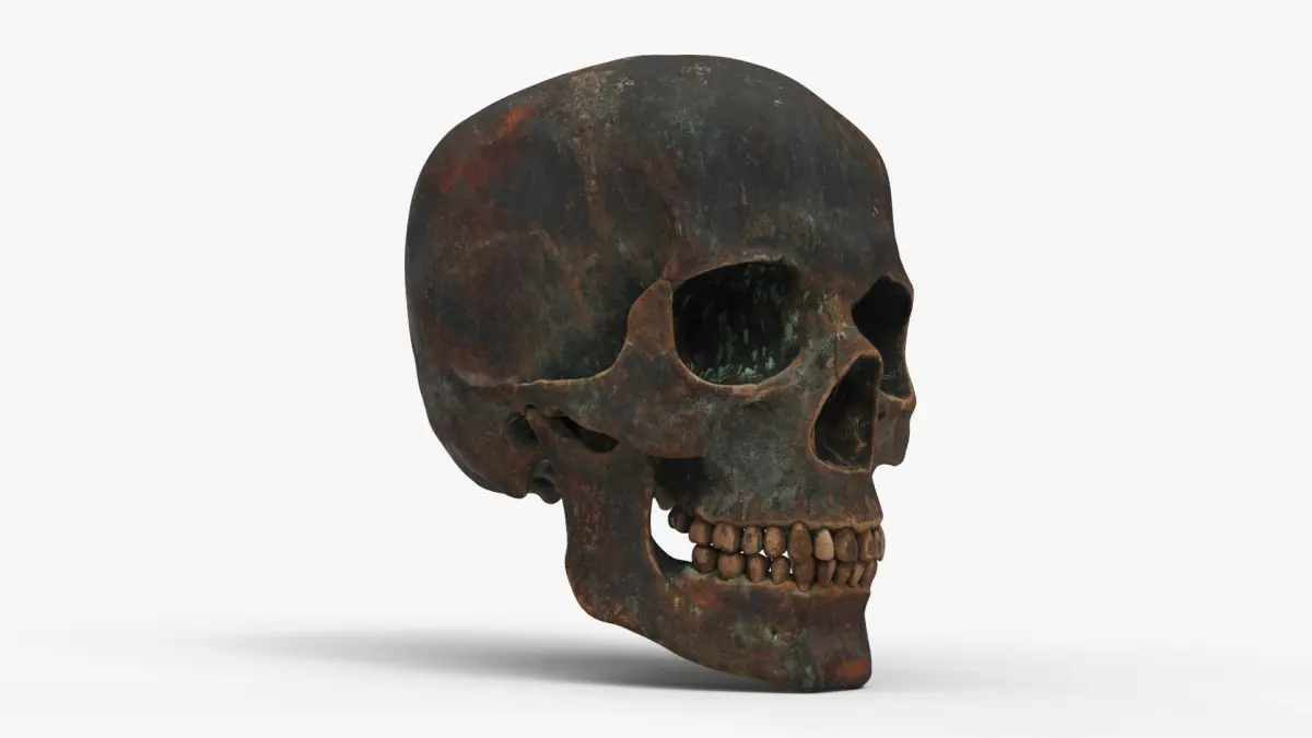 Human Skull Sci-fi Iron B 3D model