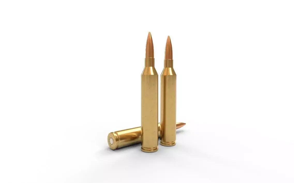 671 Blackbird  Ammo Low-poly 3D model