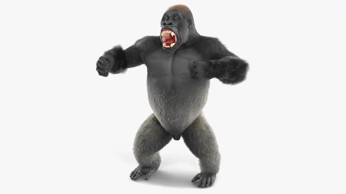Roaring Gorilla Fur Animated Rigged 3D model