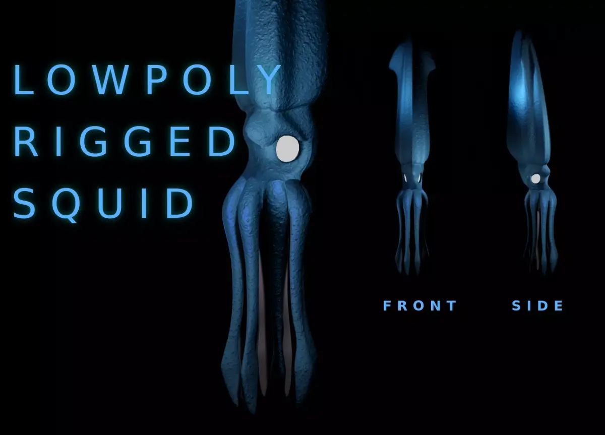 Giant Squid Low-poly 3D model get
