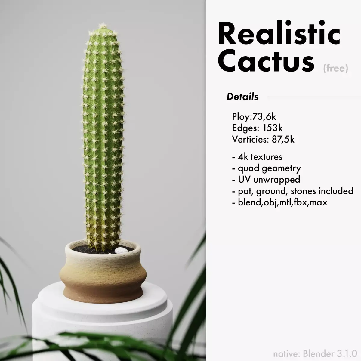 Realistic Cactus with pot ground and little stones included Free 3D model