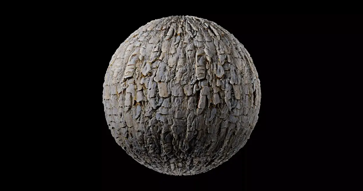 Bark 3 acorn Texture