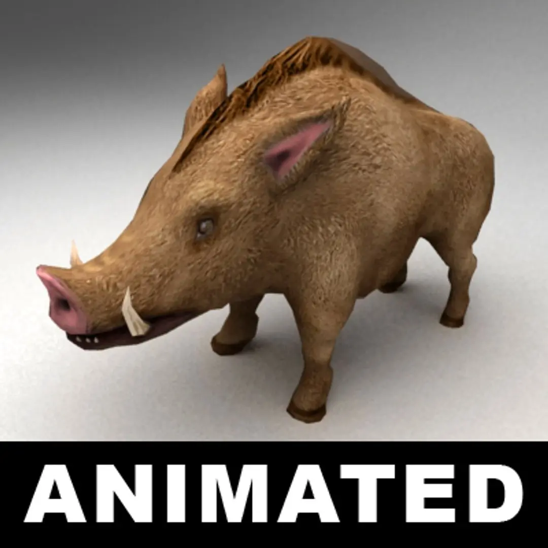 Wild boar 3D model get