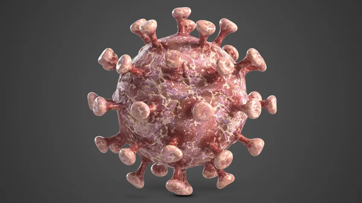 Coronavirus 2 COVID-19 3D model