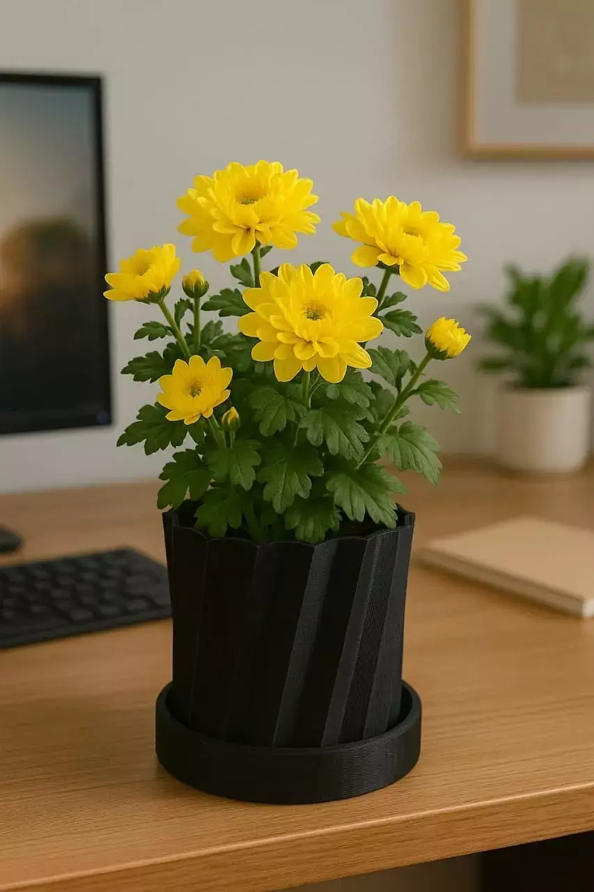 Twisted Spiral Flower Pot  3D print model