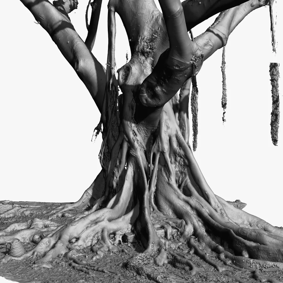 Giant Old Ficus Tree 5x24k textures RAW 3D scan 3D model