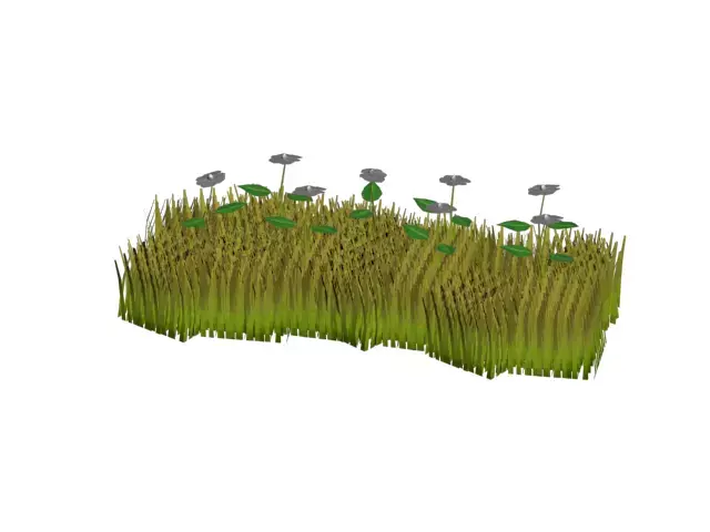 Grass and flowers 3D model