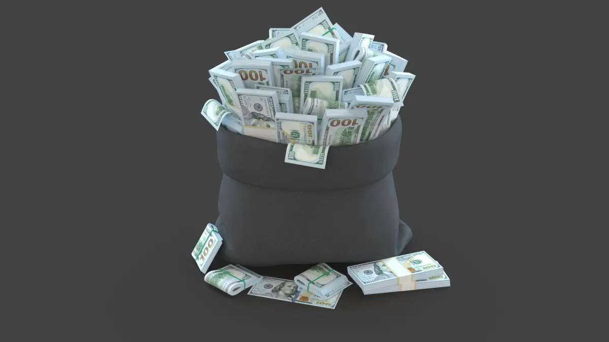 Money Bag 3D model purchase