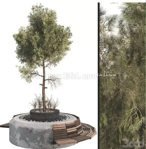 Outdoor Plant Set free flower Low-poly 3D model