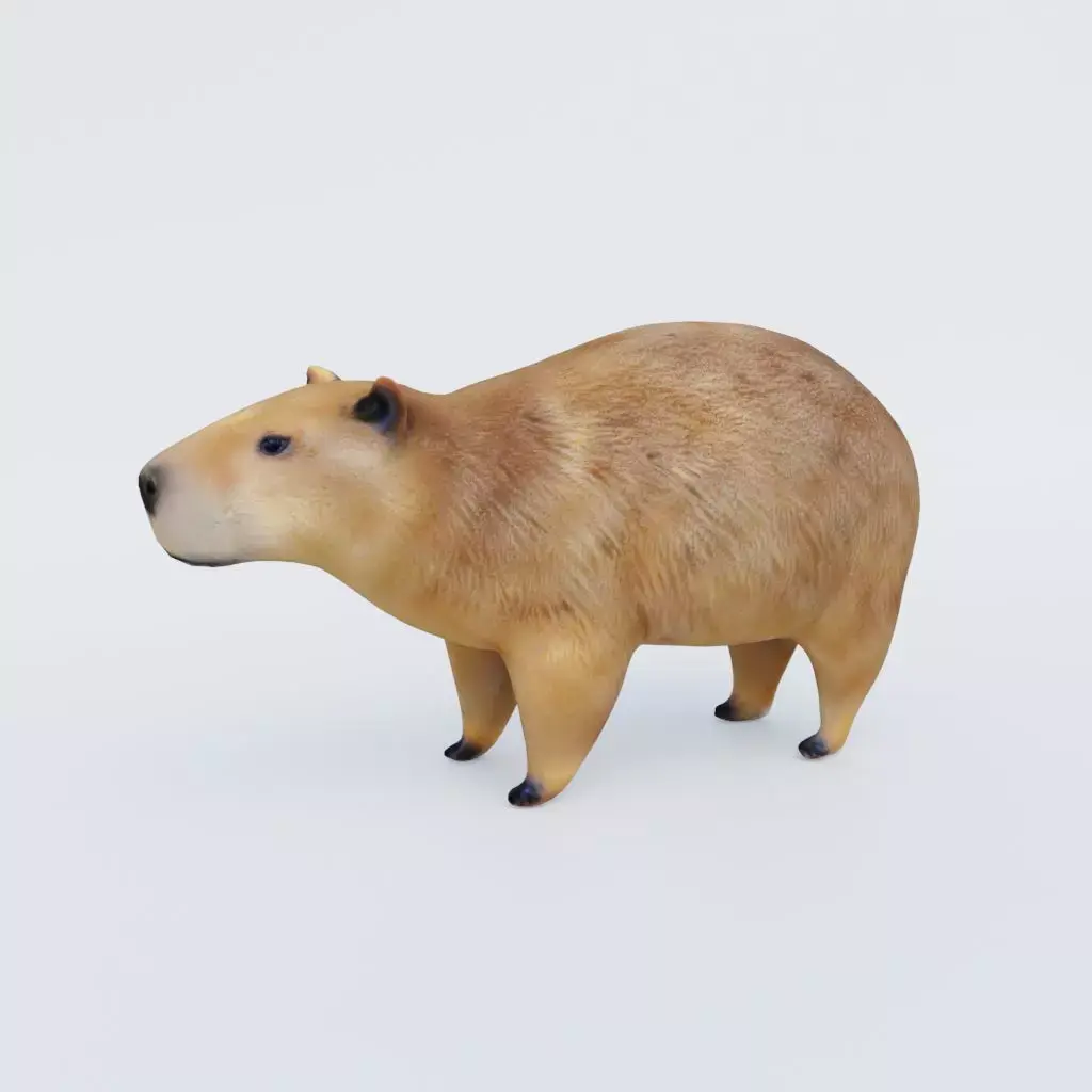 Capybara Free 3D model buy