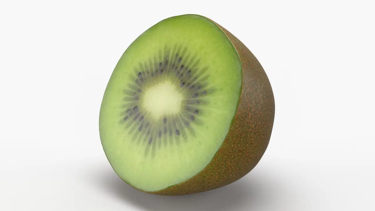 Half Cut Kiwi 3D model
