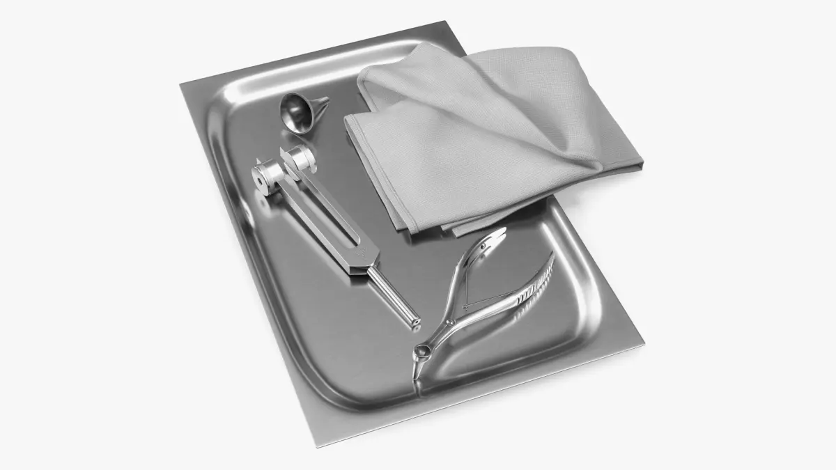 ENT Diagnostic Instrument Tray Stainless 3D model
