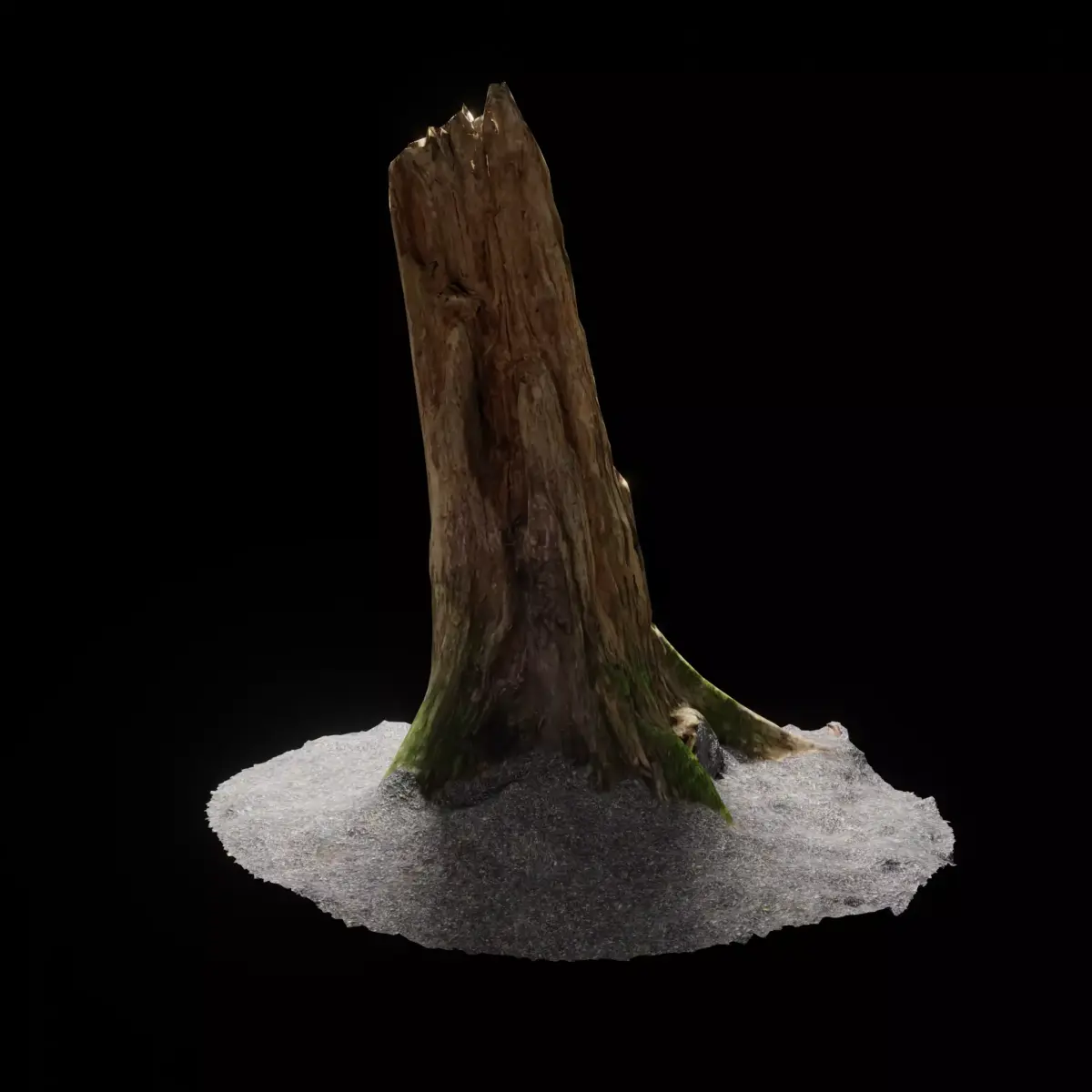 Forest Tree Stump 4K -Part11- Free low-poly 3D model