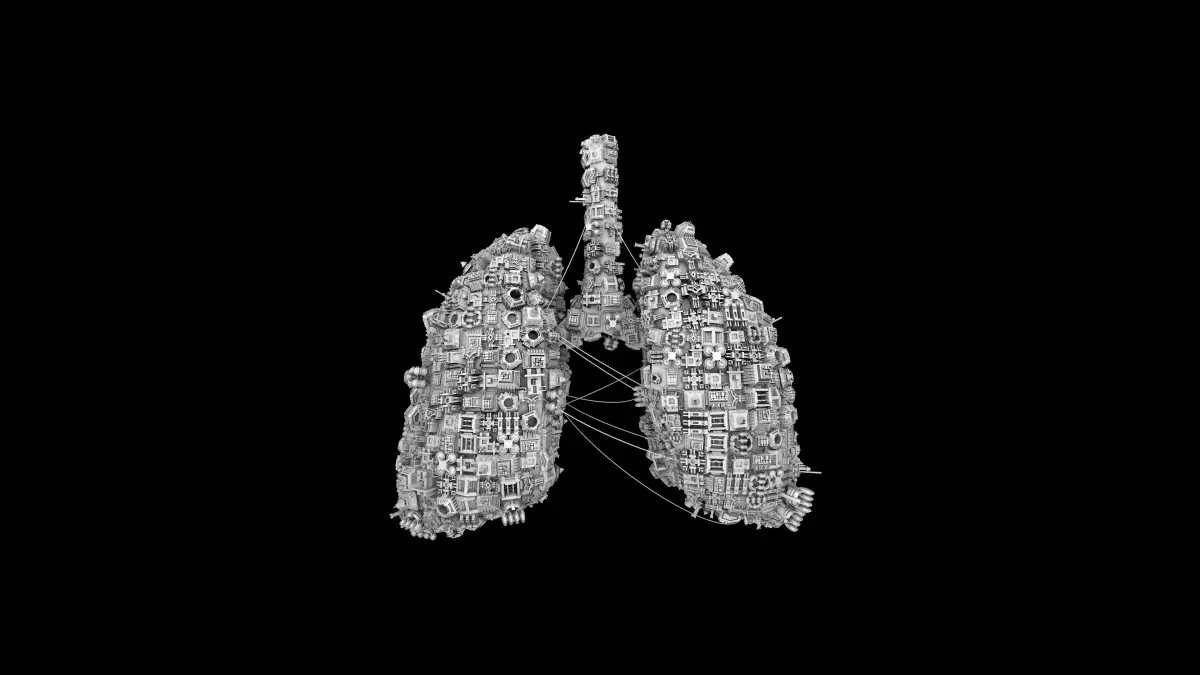 Human Lungs shaped Spaceship Low-poly 3D model