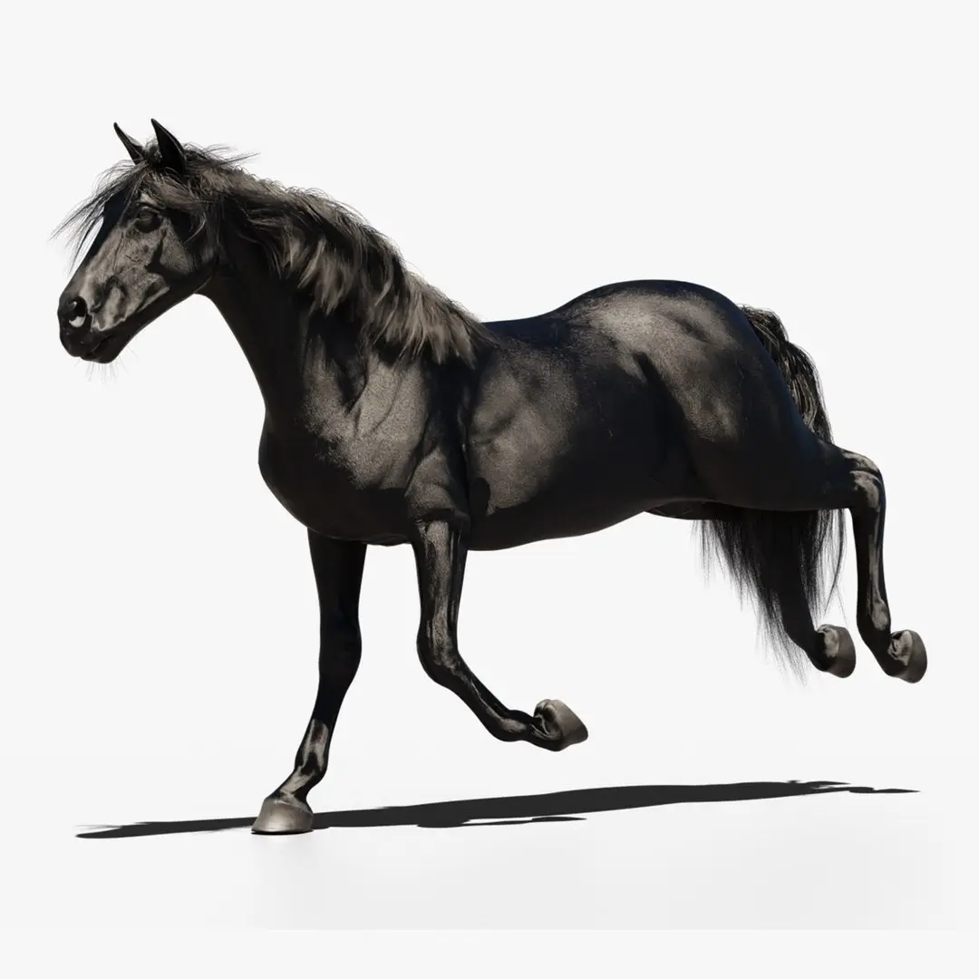 Horse animated 3D model get