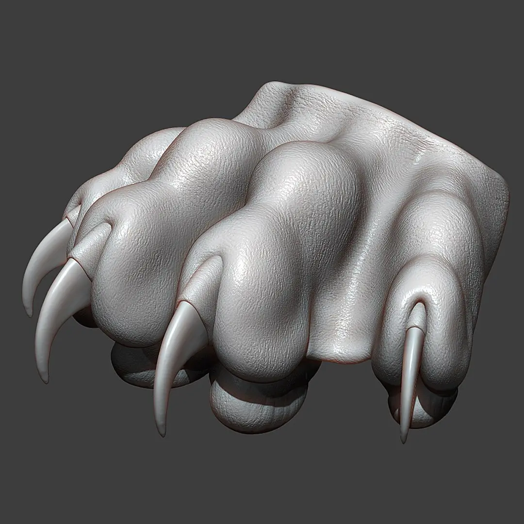 Cat Paw Highpoly Sculpt 3D model