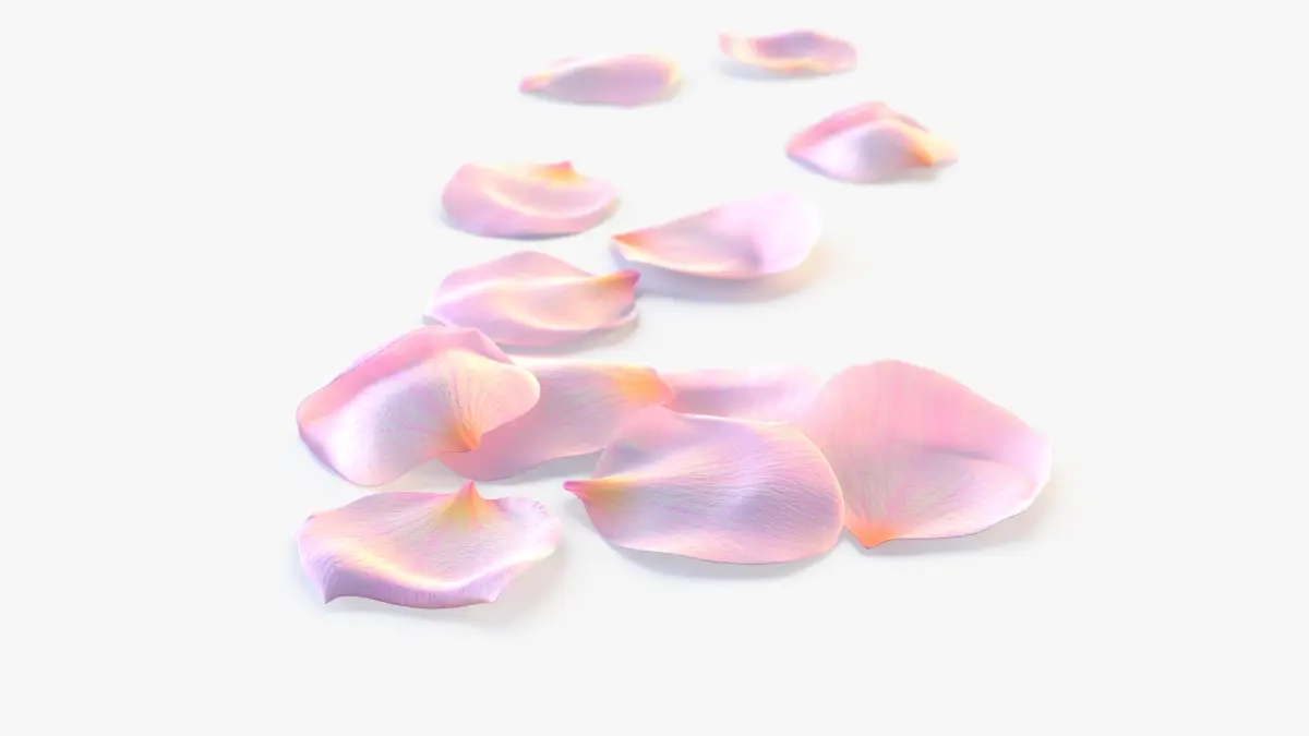 Realistic Rose Petals 3D Model - Ultra-High Quality 4K PBR Asset 3D model