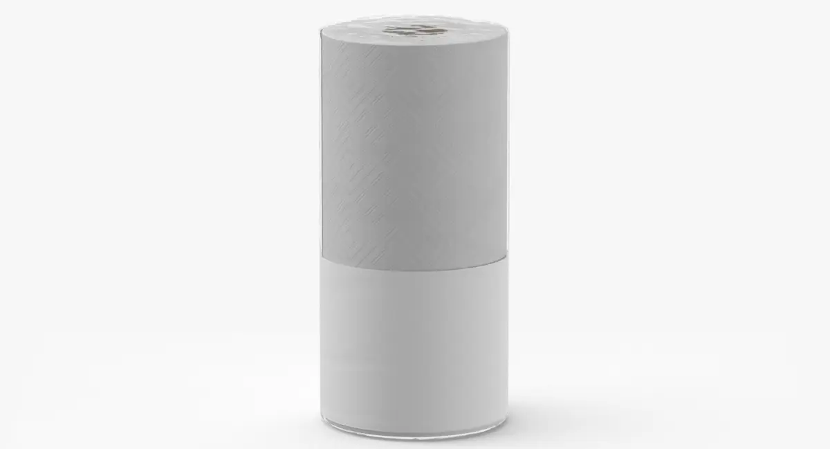 Paper Towels Single Blank and Generic Label 3D model