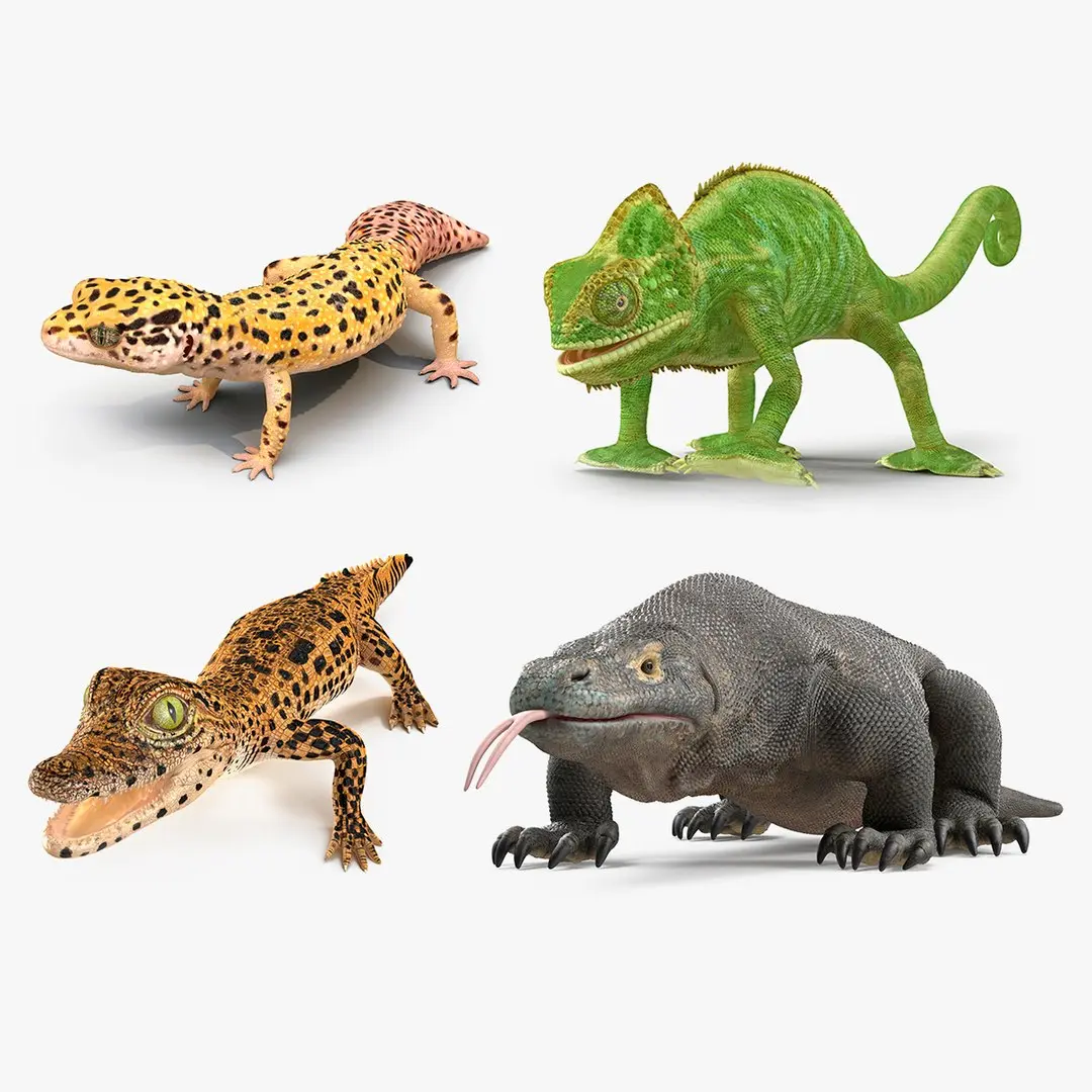 Rigged Reptiles Collection 2 for Cinema 4D 3D model