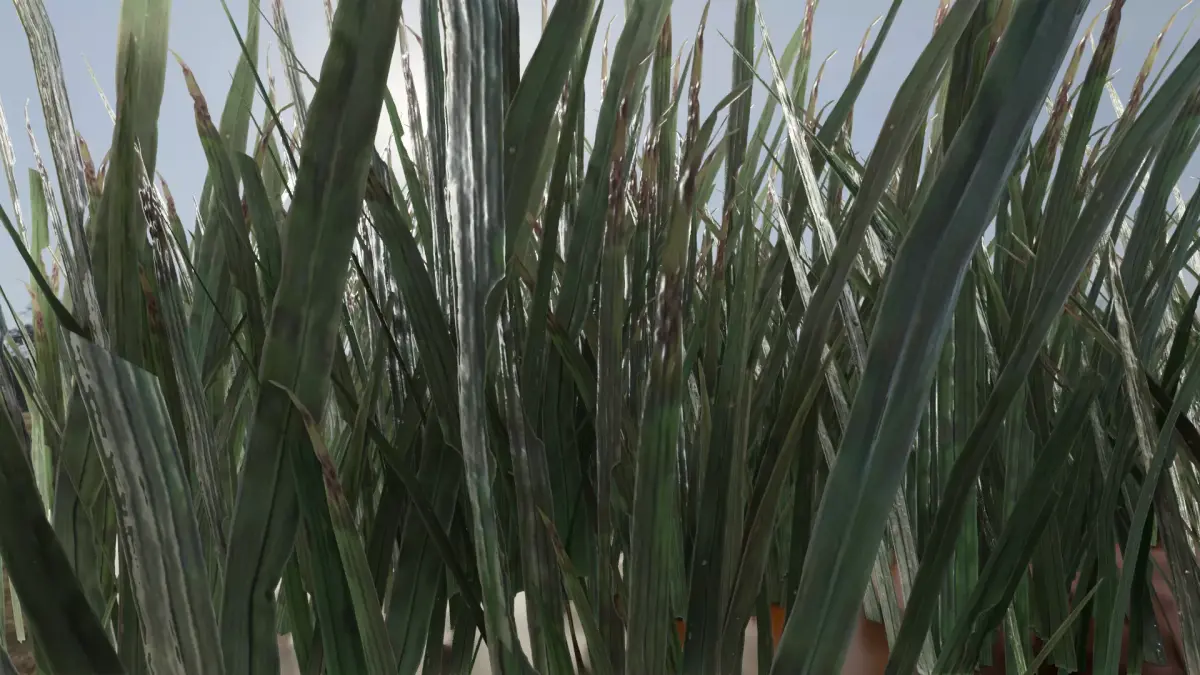 ULTRA REALISTIC GRASS FOLIAGE Free low-poly 3D model