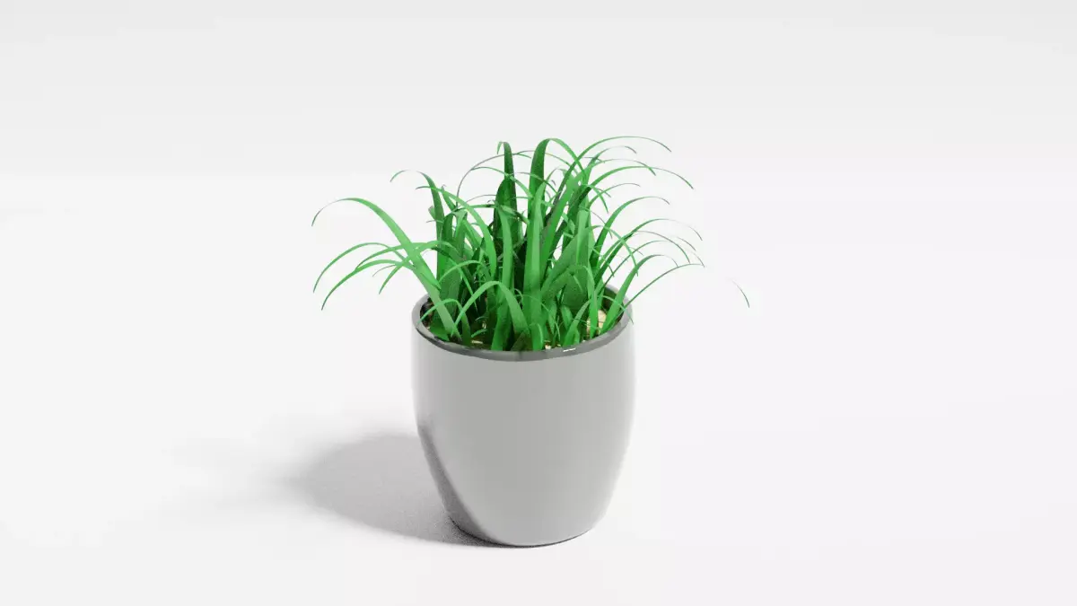 Pot Plant Free 3D model