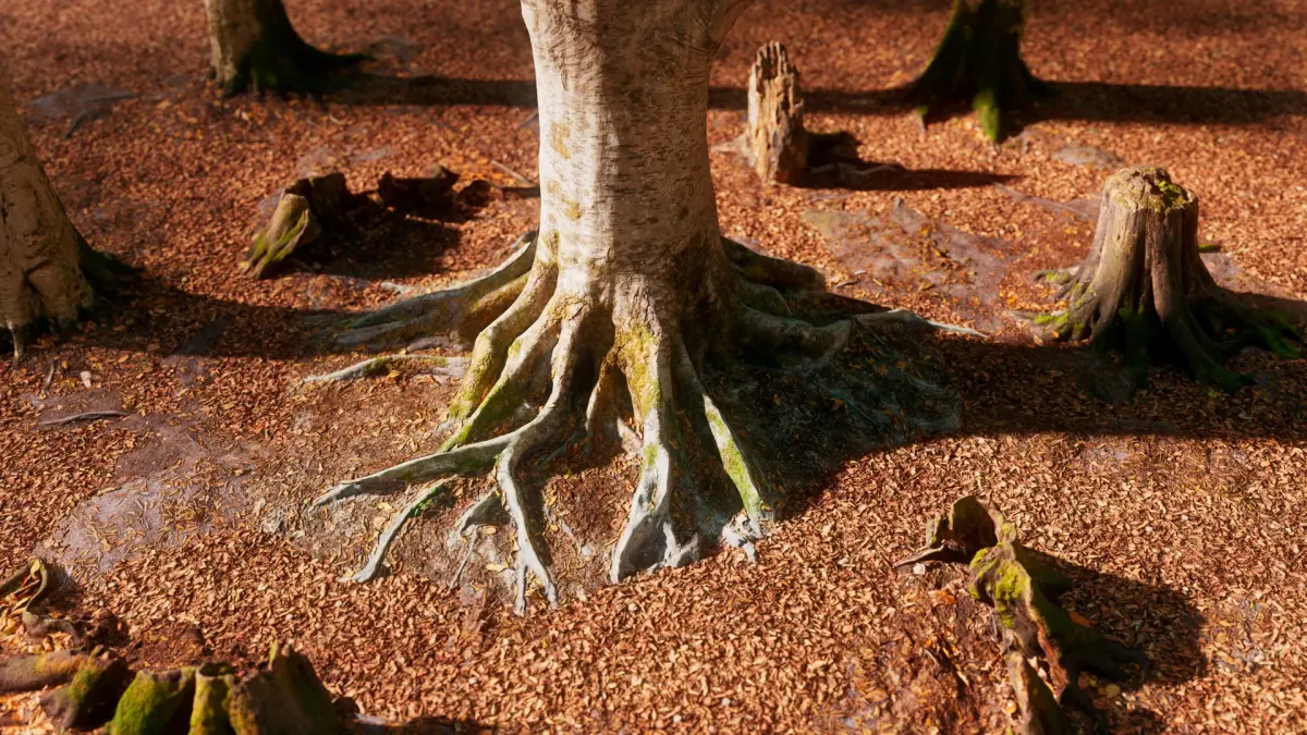 European Beech 07 3D Scanned Animated 3D model