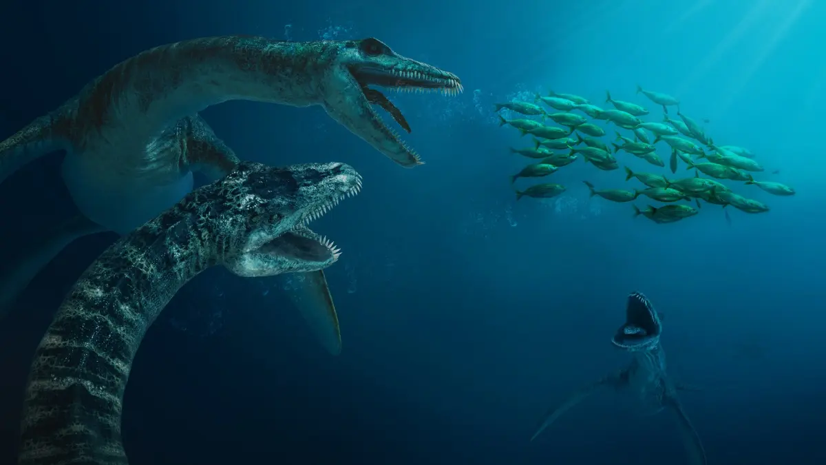 Plesiosaurus (Rigged) 3D model