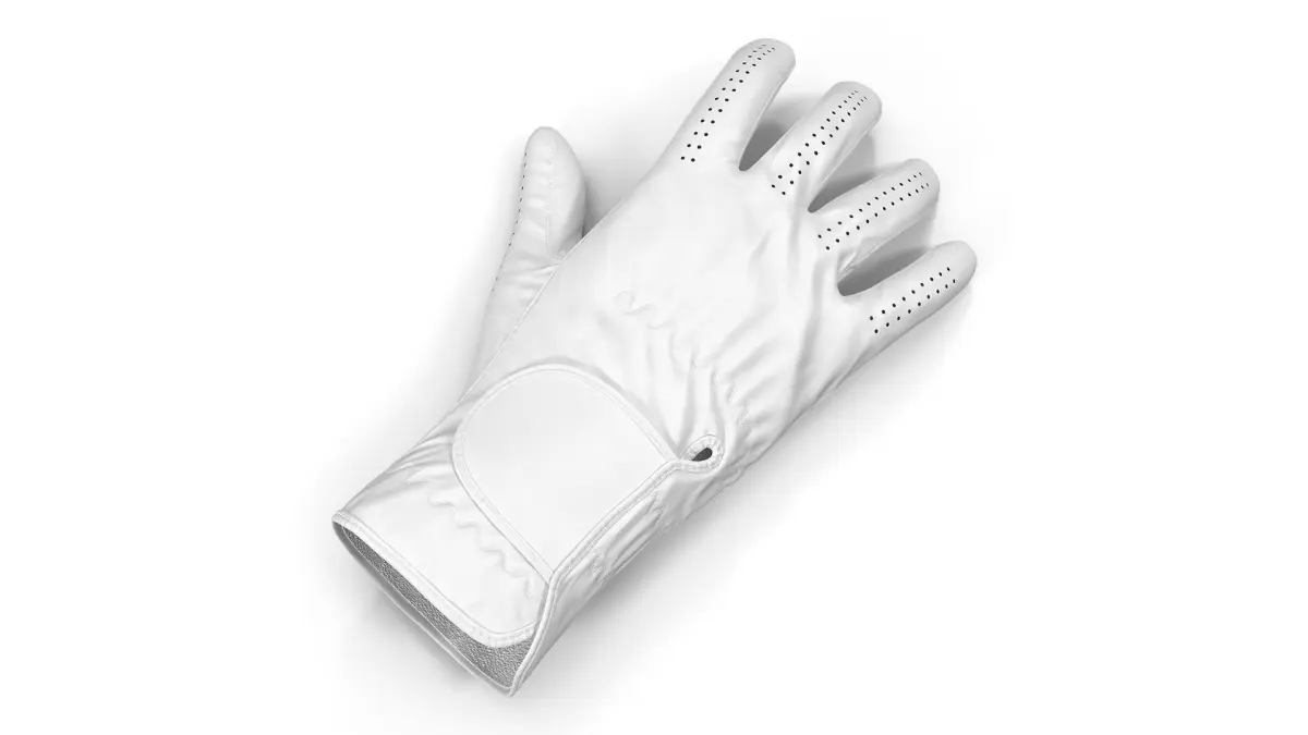 Golf Glove 3D model