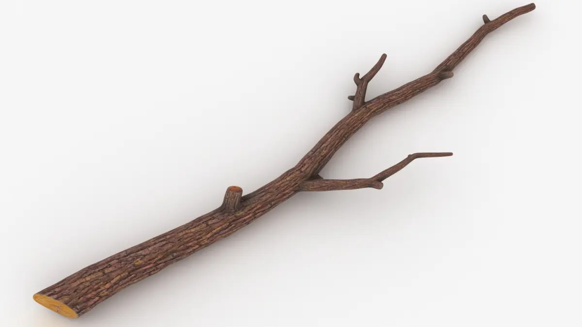 Branch 05 3D model