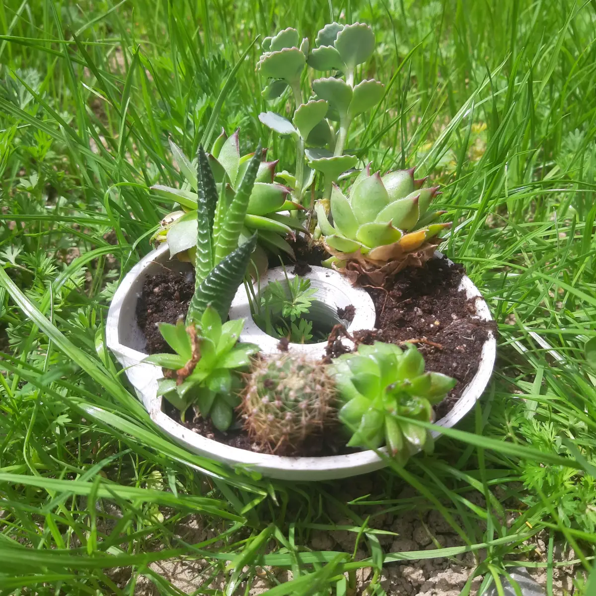 Double Planter Pots Free 3D print model